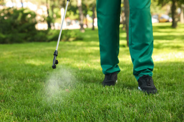 Best Commercial Pest Control Services  in Black Diamond, FL