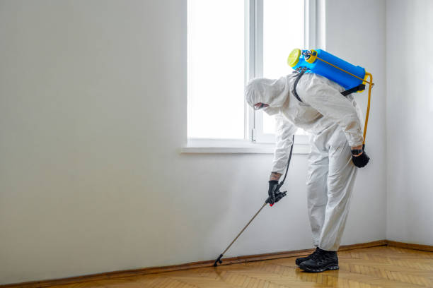 Best Pest Removal Services  in Black Diamond, FL