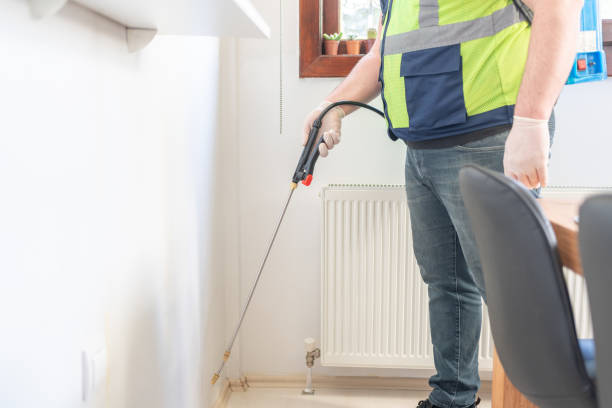 Best Flea Control Services  in Black Diamond, FL