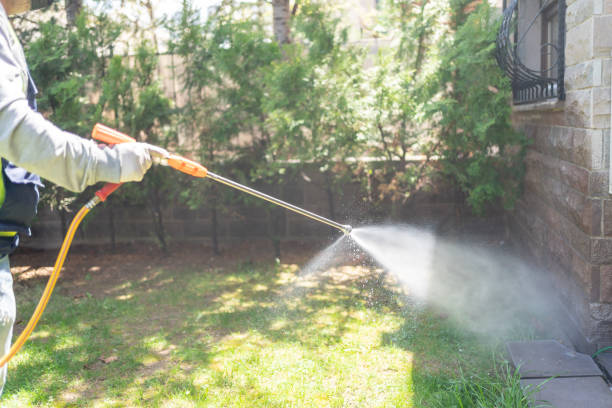 Best Cockroach Control Services  in Black Diamond, FL