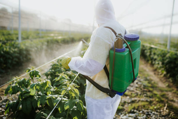 Best Commercial Pest Control Services  in Black Diamond, FL